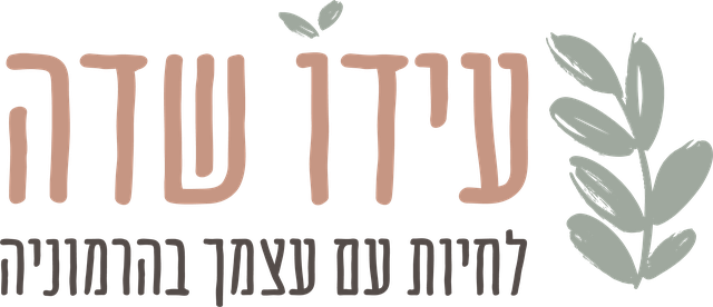 עידו שדה