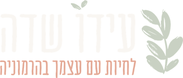 עידו שדה